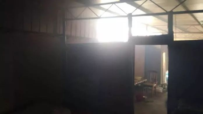 何小萍的真实结局,何小萍真相