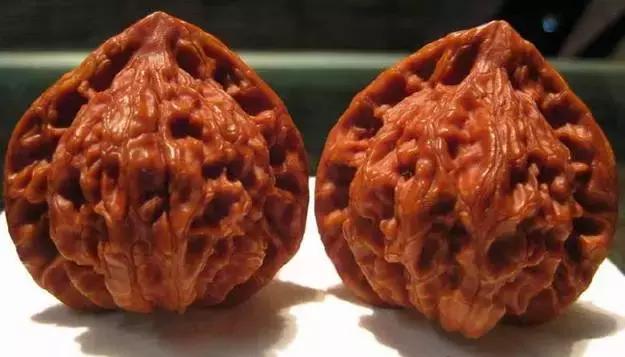 文玩核桃品种图鉴大全前十名,文玩核桃手串品种大全