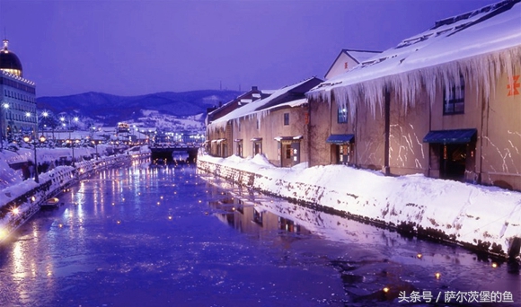 日式虾海鲜丼,日本海鲜丼在哪里