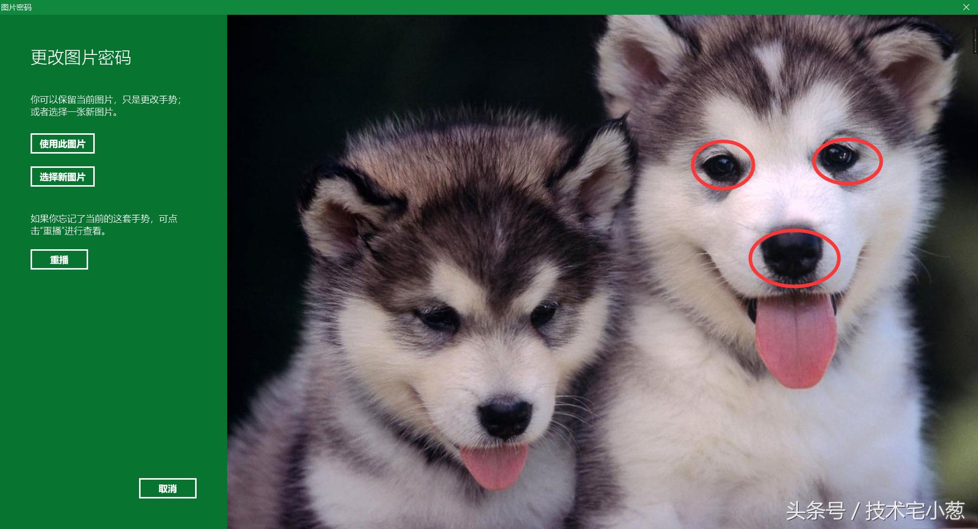 win10如何设置输密码界面图片,win10不知道原始密码怎么改密码