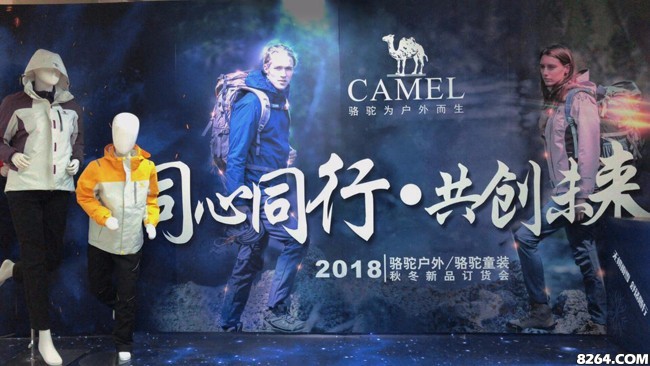 骆驼新品发布会范冰冰,范冰冰出席李晨发布会