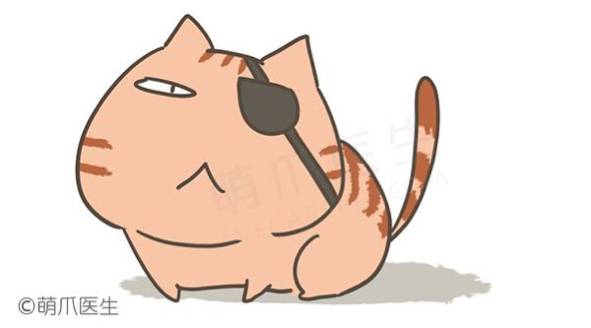 猫咪眼睛有一只雾蒙蒙的怎么治疗,猫咪生病眼睛总是睁着怎么办