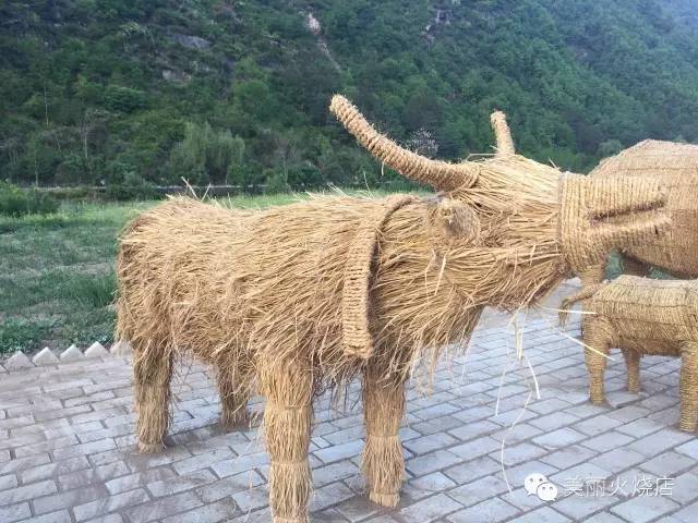 火烧店又现新鲜玩意儿，听说是.......