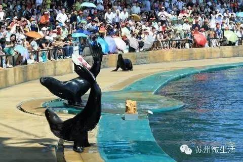 苏州爸妈圈要炸锅！每年10万小朋友都想参加的这场国际盛典要来苏州~