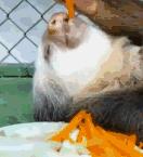 男子高速隧道提神,高速犯困夫妻在隧道提神