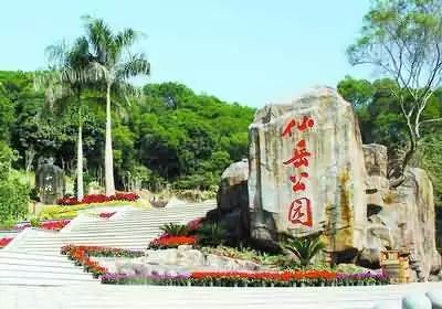 厦门一日游视频,厦门旅游最新最全消息