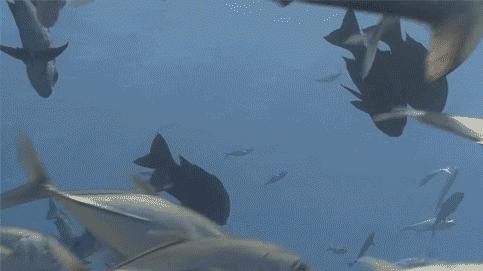 家里有小孩的注意！亲子畅玩卡杭州首次开办~华东100+家亲子乐园，海洋馆，泡温泉，游泳，攀岩……玩个遍不花钱