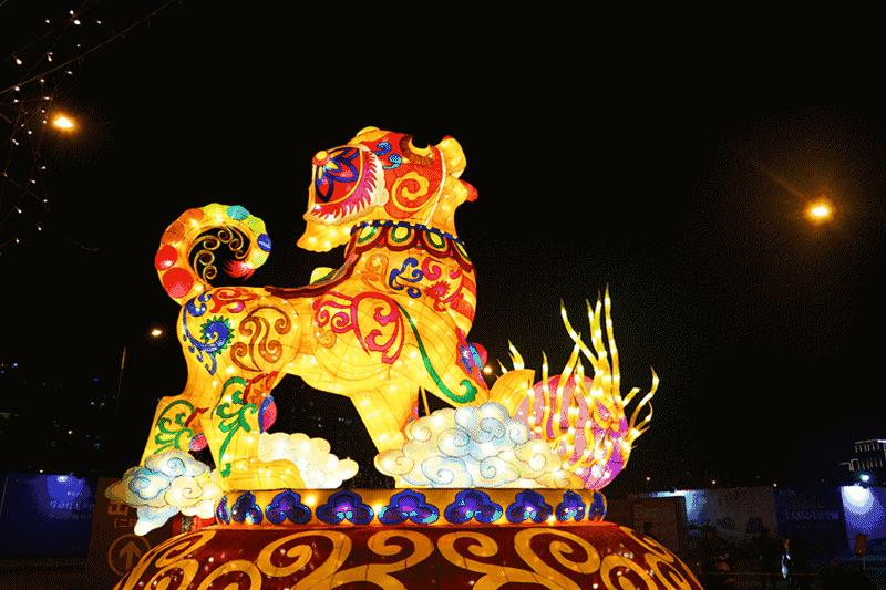 成都灯会七彩田野,灯会大型发光花灯