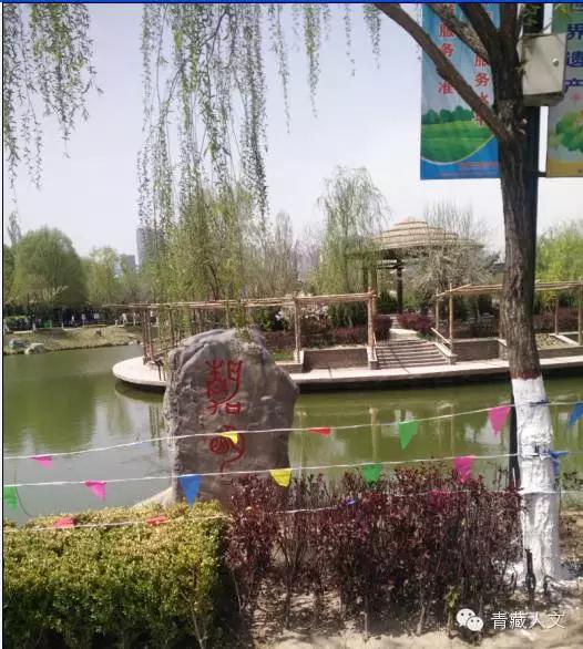 西宁景熙丰生态园,西宁景熙丰湿地公园