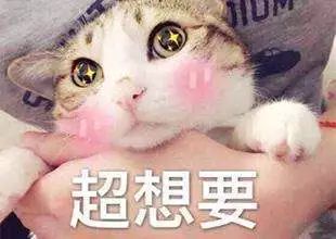 1000元左右的轻奢包包,1000左右轻奢包包推荐