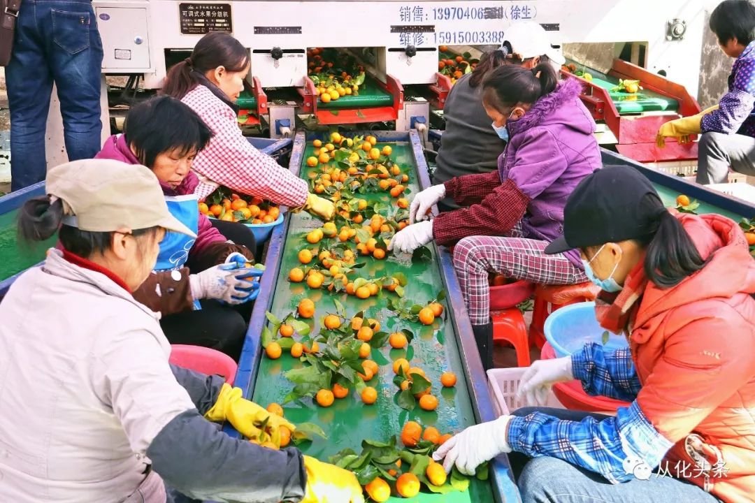 「重磅」火速围观从化区委全会说了啥？2018年从化怎样干？