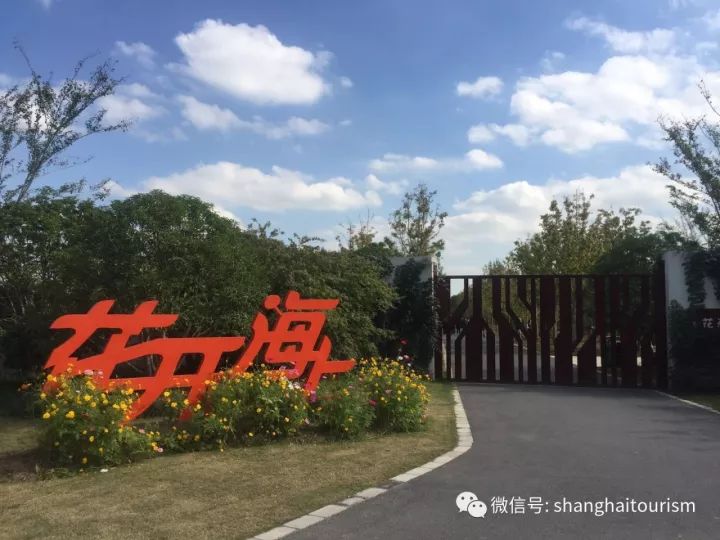 一年只有一次能进入的景点,办年票可以去哪些景区