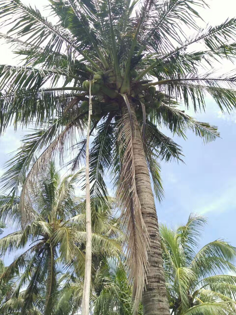 和父母的代沟形成的原因,跟父母总是有隔阂