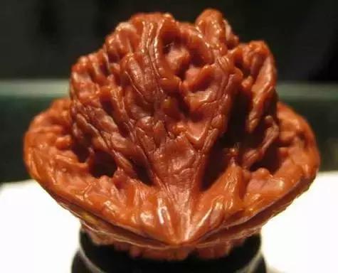 文玩核桃品种图鉴大全前十名,文玩核桃手串品种大全