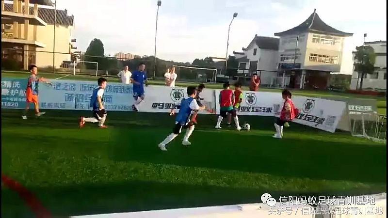 信阳蚂蚁足球俱乐部假日足球赛,信阳蚂蚁足球俱乐部青训班