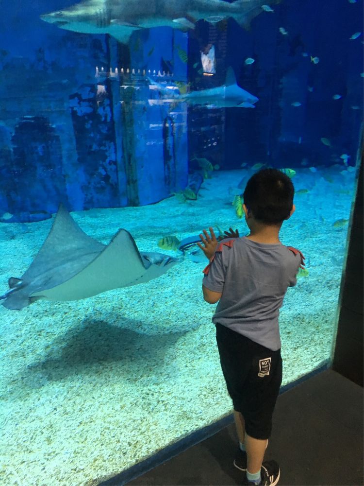 小屁孩的南京之旅,记录小屁孩的旅途