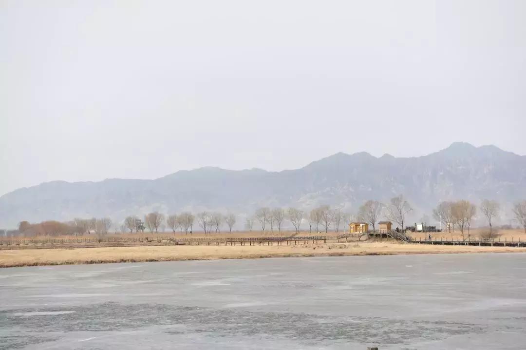 野马跑高速飘是什么原因,野马为什么哭了