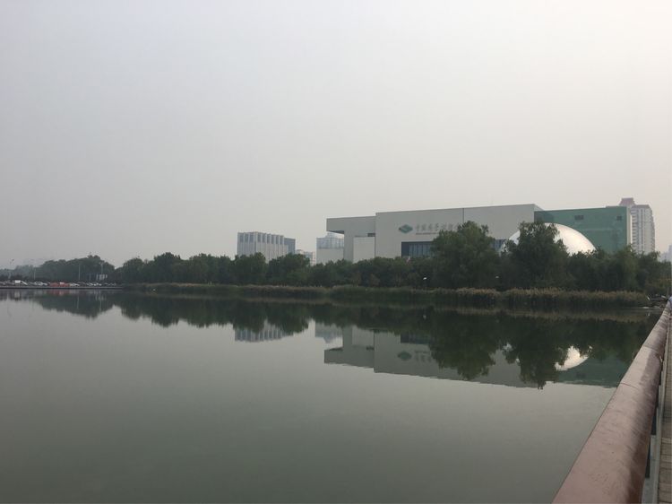 和小屁孩们一起出去玩的视频,和小屁孩玩的一天