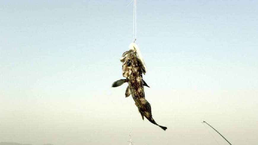 如何正确选择一款属于自己的路亚,有哪些路亚鱼饵比较适合新手