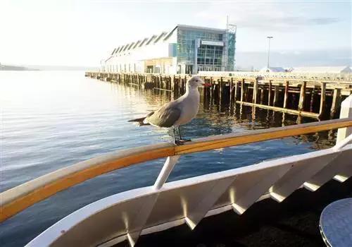 美国monterey旅游攻略,美国自由行攻略详细图解