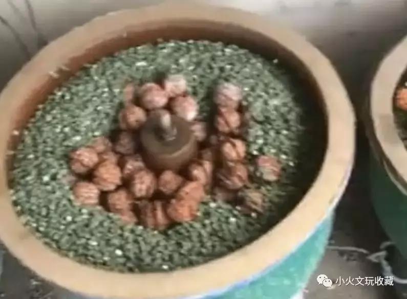 「小火说」什么鬼！机刷金刚、核桃到底是个什么玩意儿？