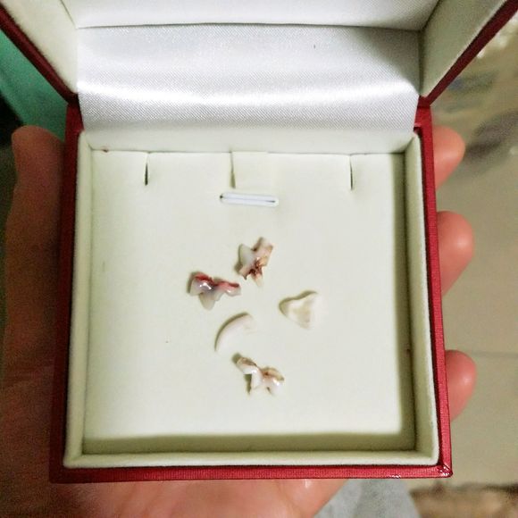 花了600买一只羊,花600买了只猫