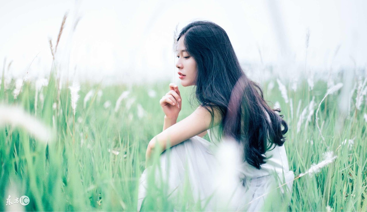 情商低就是智商低吗,情商低智商低适合做什么