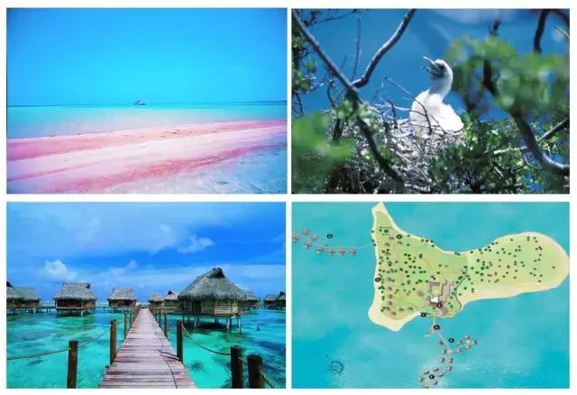 海岛游大溪地,一生必去的十大免签海岛大溪地