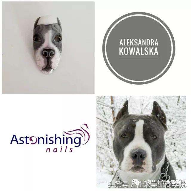 狗年财运最好的地方,狗年发财什么意思