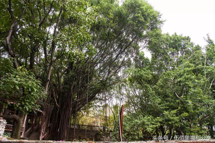 福州仓山老洋房景点,福州仓山城门老洋房