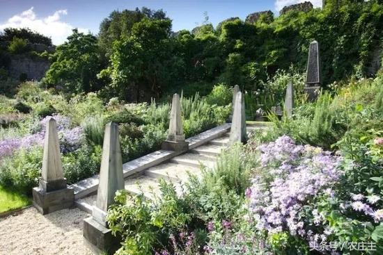 两位英国园艺师却将他们最好的作品留给了自己