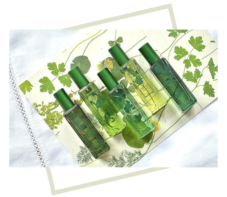 范冰冰脸蛋值多少钱,范冰冰的脸值多少钱