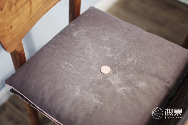 猫奴必做攻略,猫奴必看喵星人