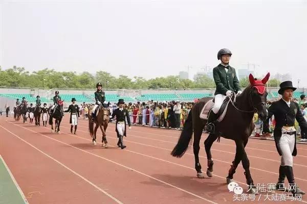 马术击剑高尔夫,马术击剑活动