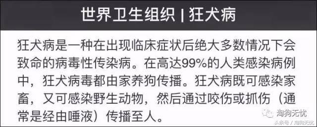 求助小猫被绳子缠住后续,被猫抓了要去打针吗