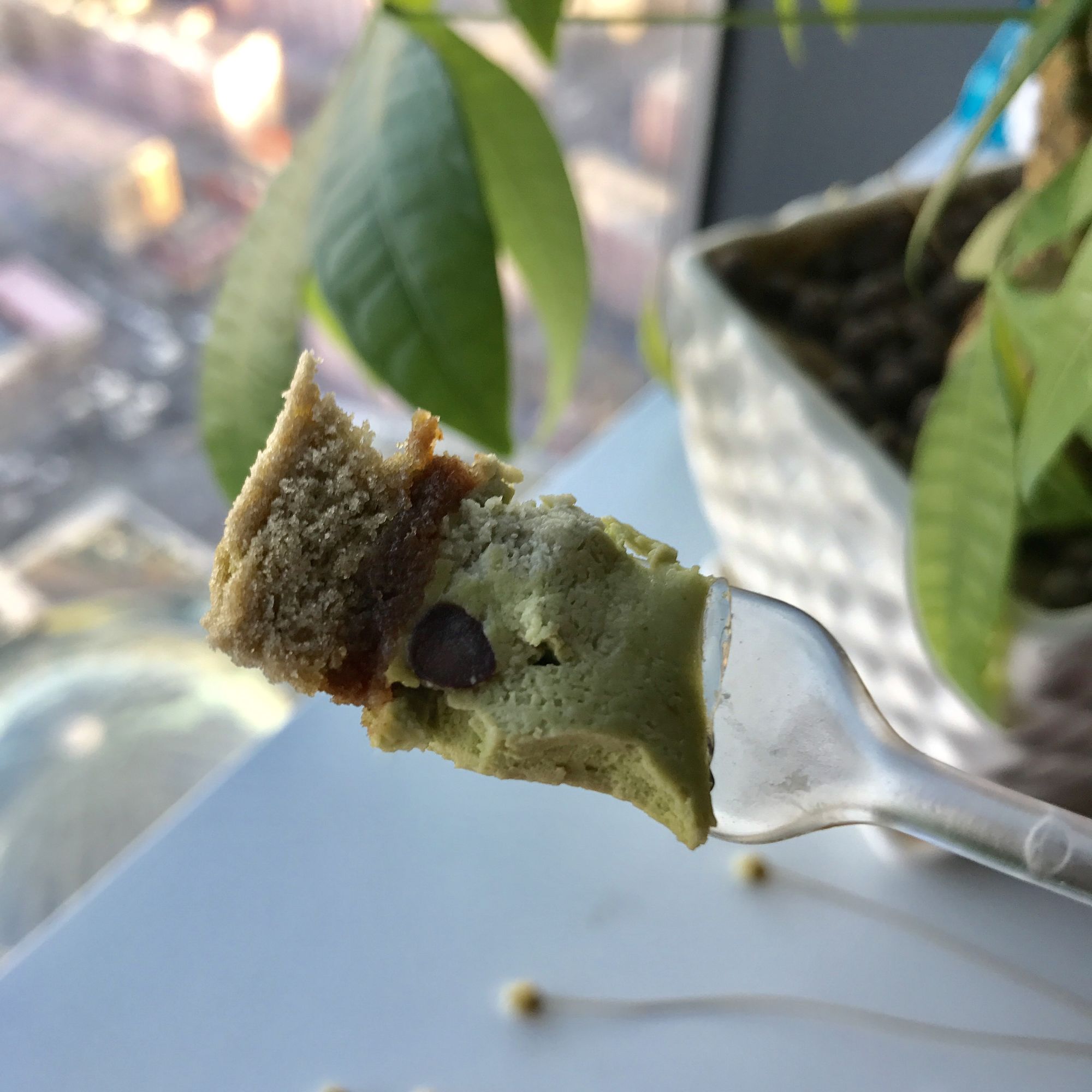 好利来蛋糕大测评，总有一个你喜欢的