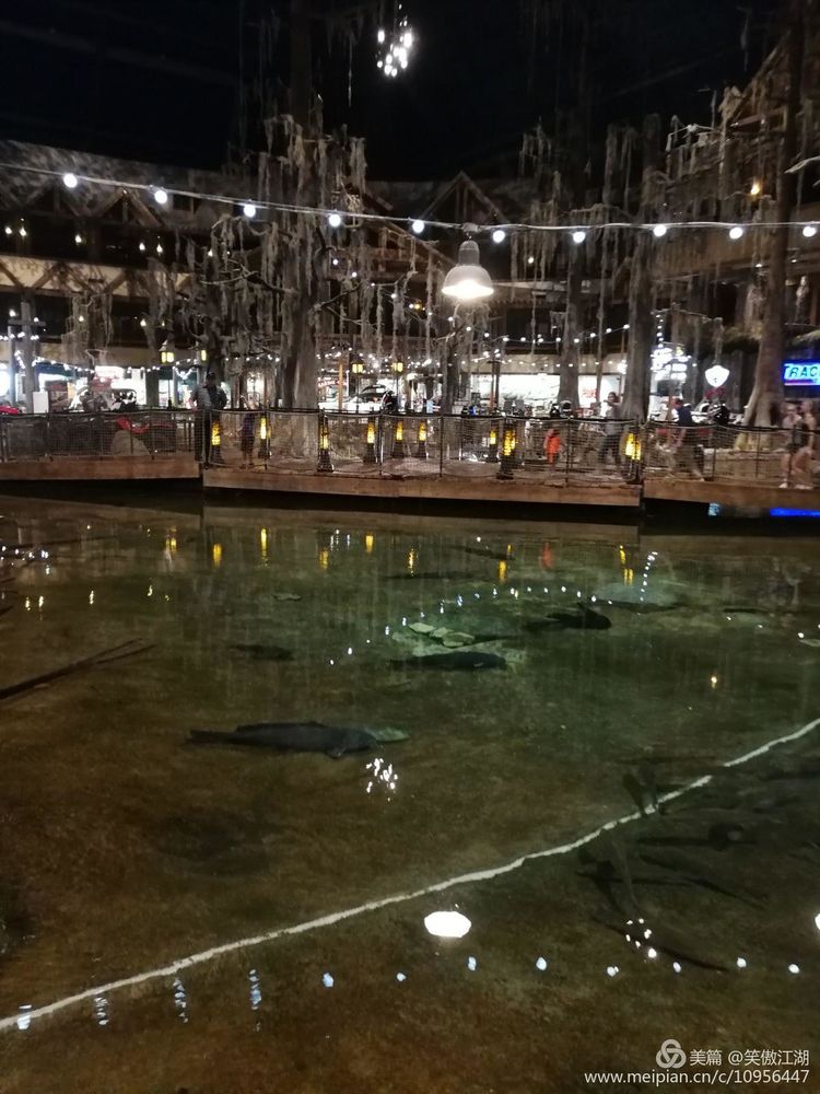 自旧金山至孟菲斯撷趣