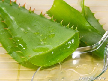 夏日必备神器芦荟胶来啦,神奇芦荟胶