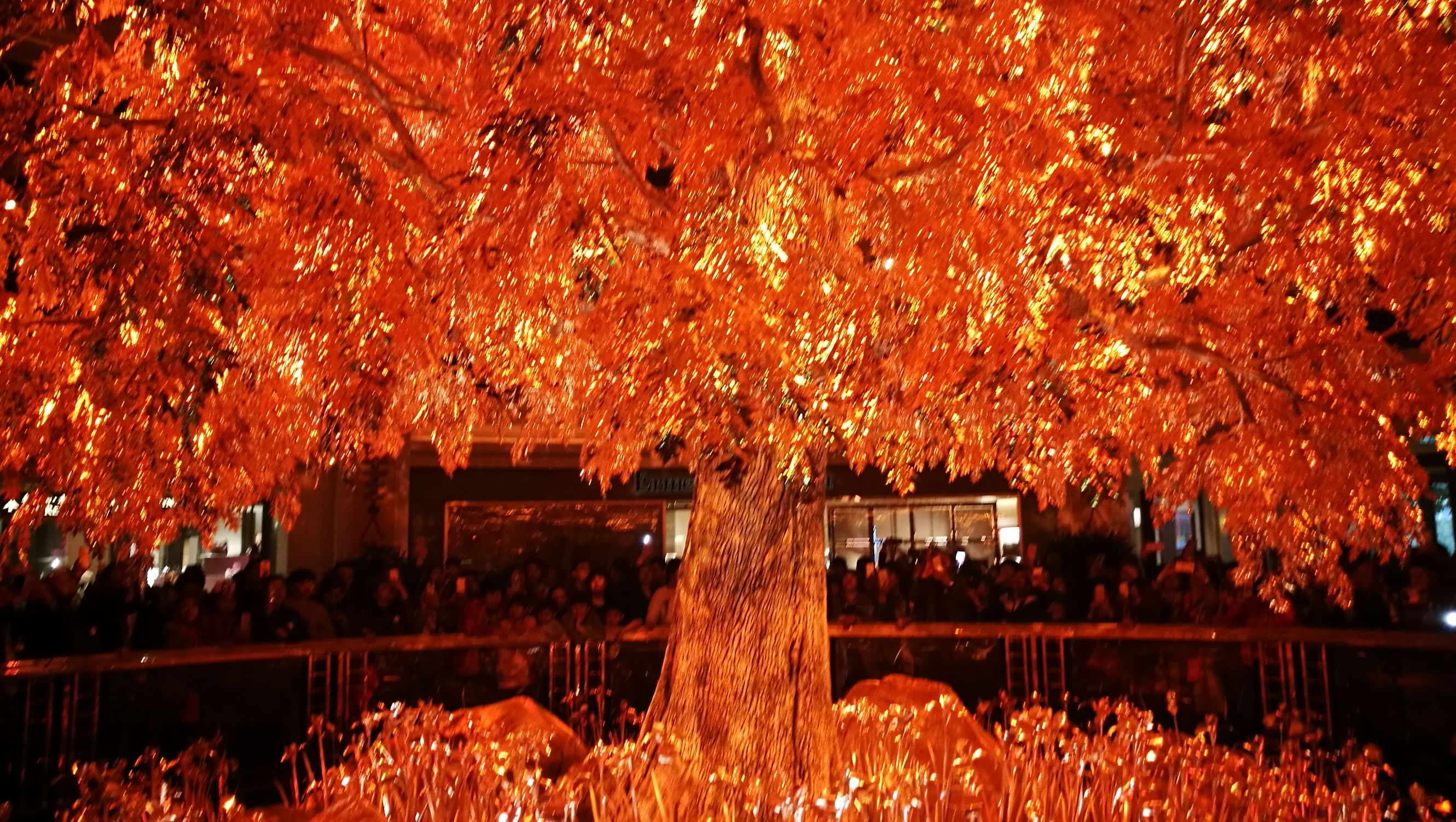 新年出发新征程图片,南方新年游街