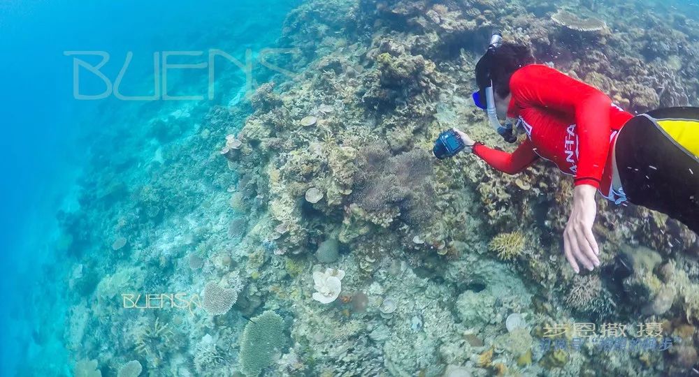 菲律宾好玩的特产,菲律宾什么便宜