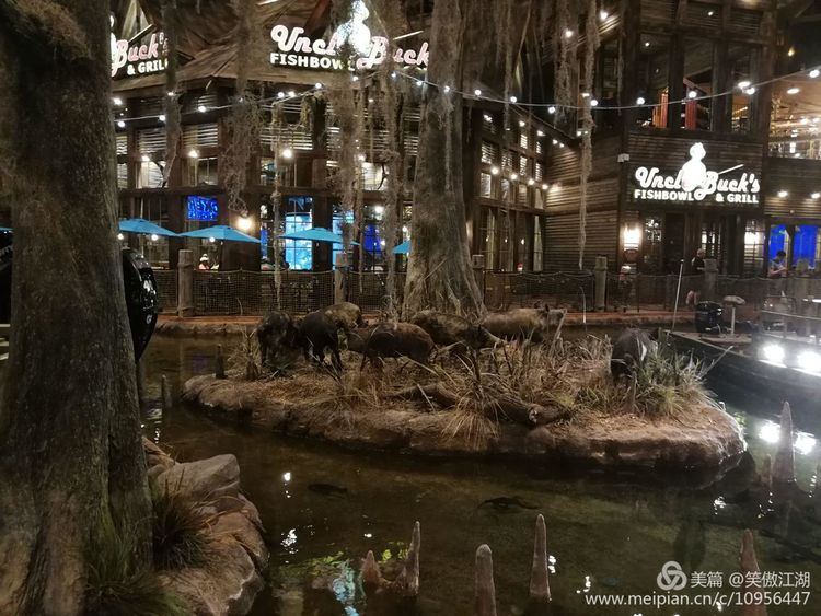 自旧金山至孟菲斯撷趣