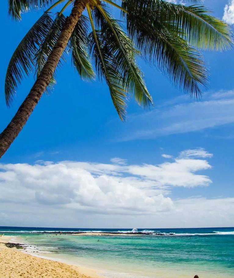 侏罗纪公园取景地有哪些,侏罗纪公园拍摄地