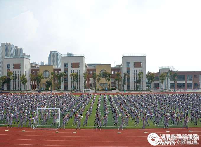 江南区好的小学,身边的好学校80中