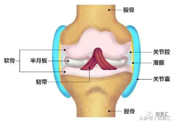 膝关节骨关节炎诊治的十大误区,膝关节炎警惕这些误区
