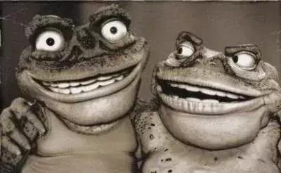 澳洲大量狗舔蟾蜍上瘾,狗狗舔到蟾蜍有没有事