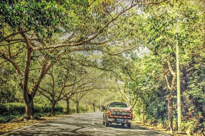 三亚旅游攻略纪念品,自驾游海南三亚必备物品清单