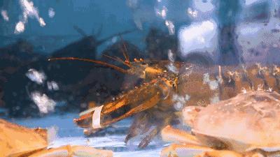 娉夊窞甯傚尯鍝簺姣旇緝濂界殑娴烽矞閰掓ゼ,娉夊窞娴烽矞缇庨鎺掕姒滃墠鍗佸悕