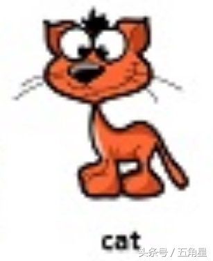 动物的英文单词都有哪些,动物英语单词13个