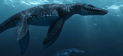 十大最著名的恐龙,盘点我国最著名的十大恐龙