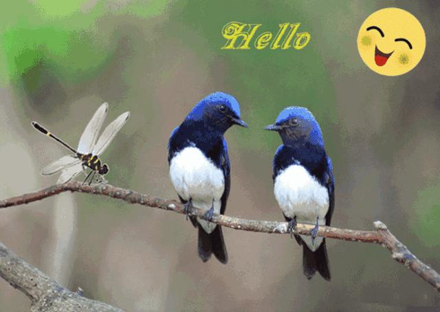 二十不惑三十而立四十五十知天命,关于三十而立四十不惑五十知天命